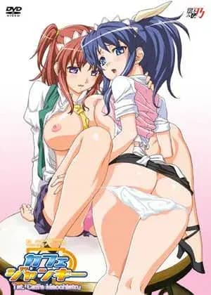Cafe Junkie hentai cover